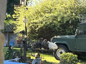  Séjour linguistique en famille d'accueil chez Maryline - France - Bergerac - 8