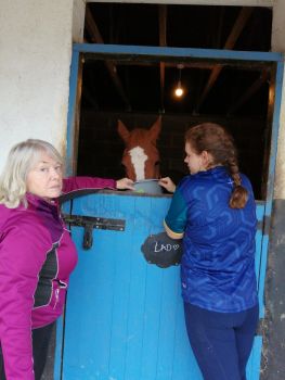  Estancia de inmersión lingüística en casa de Madeleine - Irlanda - County Wexford - 5