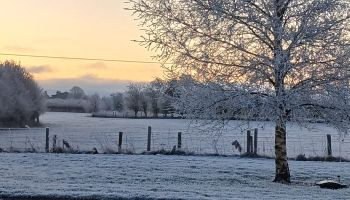  Language Immersion Stay at Sean - Ireland - Tullamore - 4