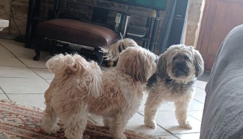  Séjour linguistique en famille d'accueil chez Sallyann - France - Poitiers - 2